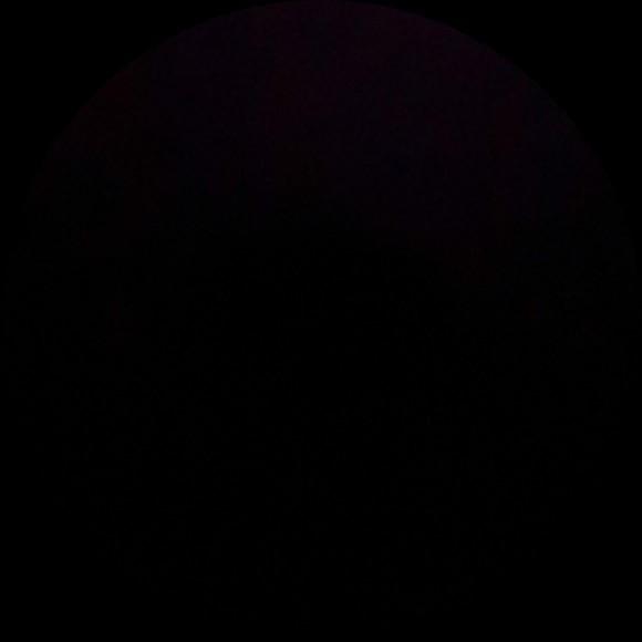 Meet your Posher, Johanna - Picture 1 of 1